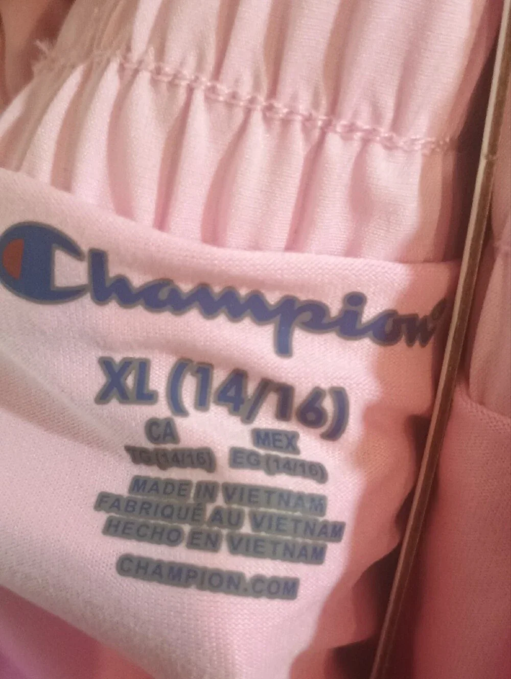 Champion Light Pink Circle Skirt Active Short